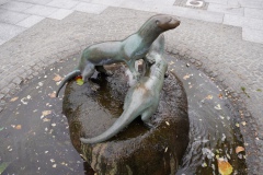 dsc00043