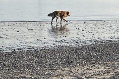 img_1810-scaled